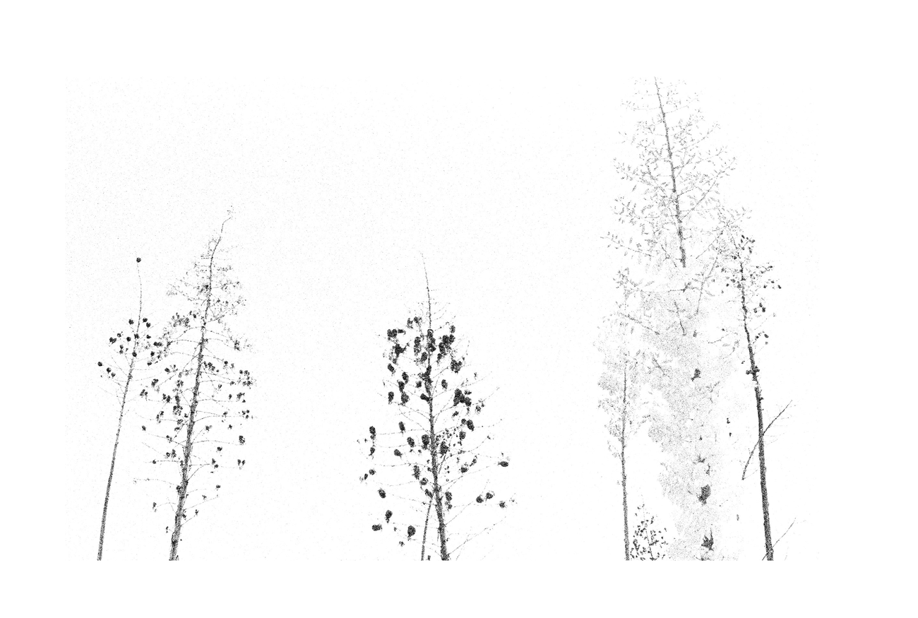 20 Questions with Consultants — chapter art