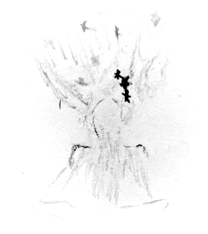 Media — chapter art
