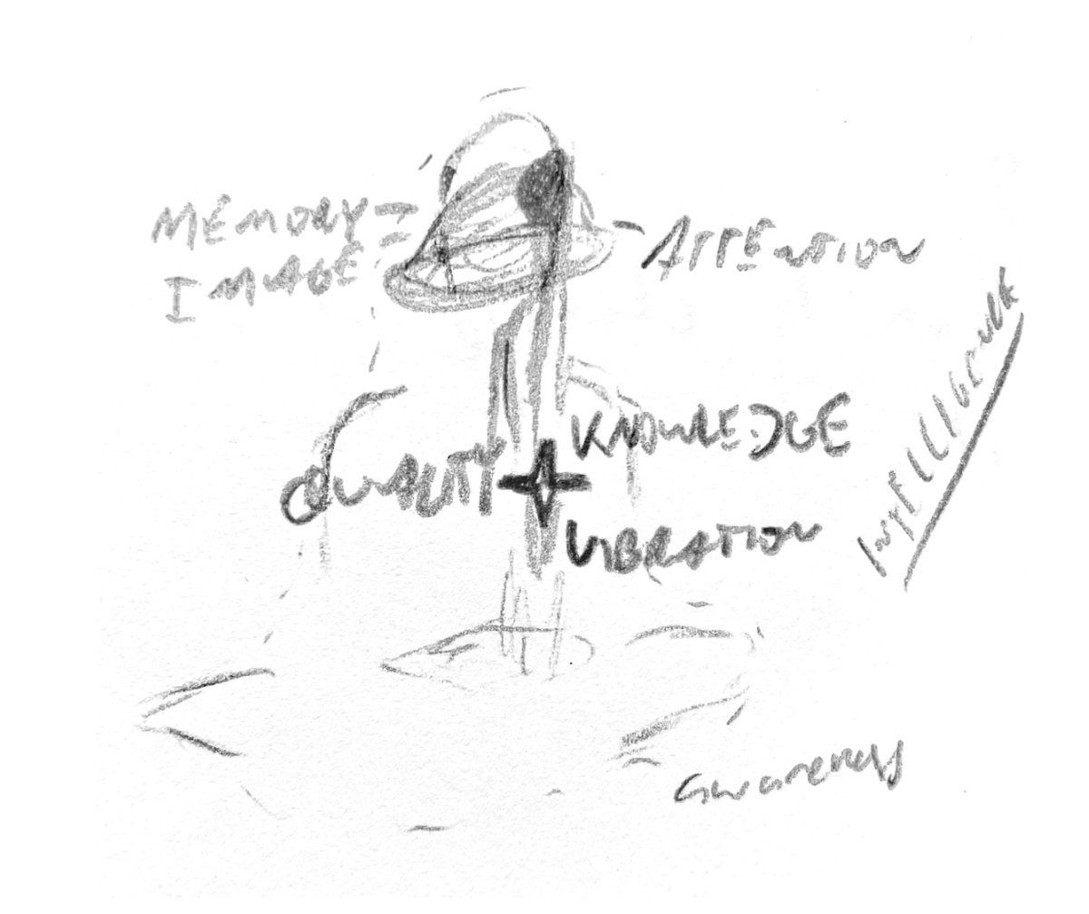 The Informational Being — chapter art